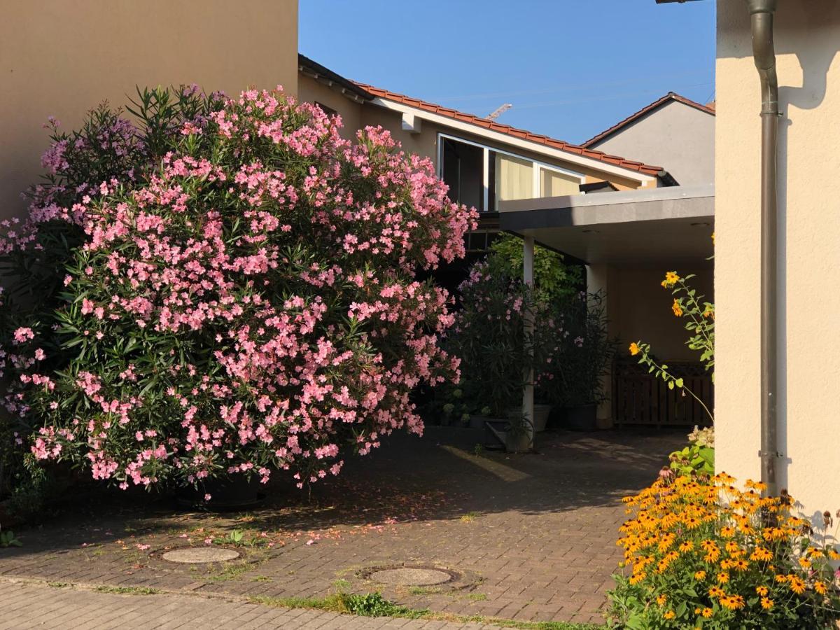 Apartment In De Goldisch Luft Gau-Algesheim