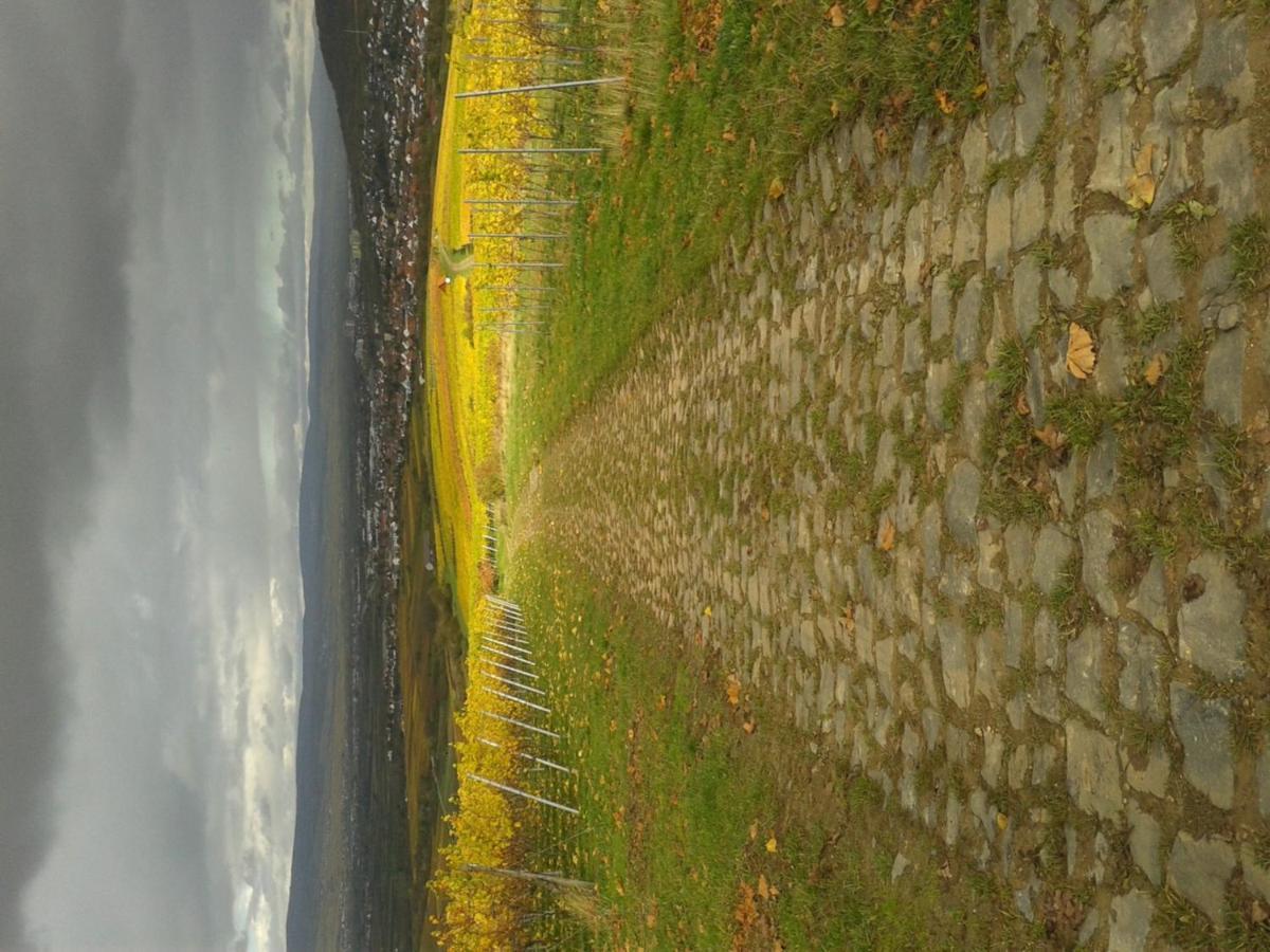 In De Goldisch Luft Gau-Algesheim